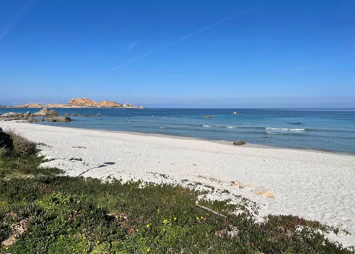 L'isula - Appt Pour 5 Climatise Avec Piscine *